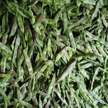 油豆角