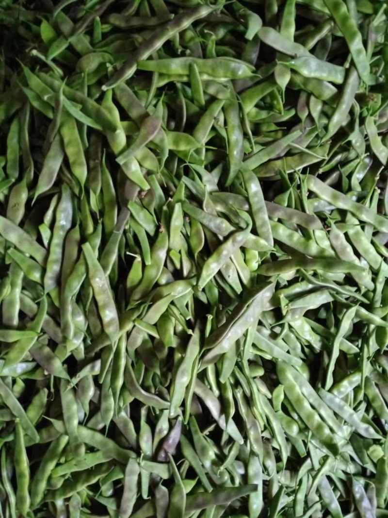油豆角