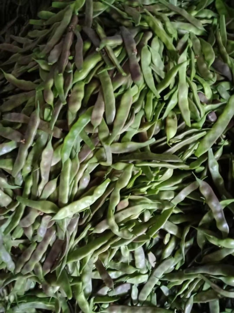 油豆角
