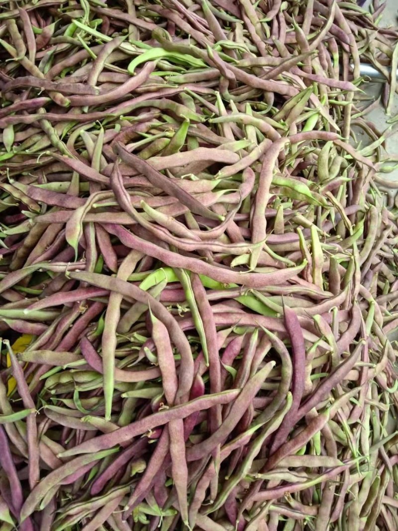 油豆角