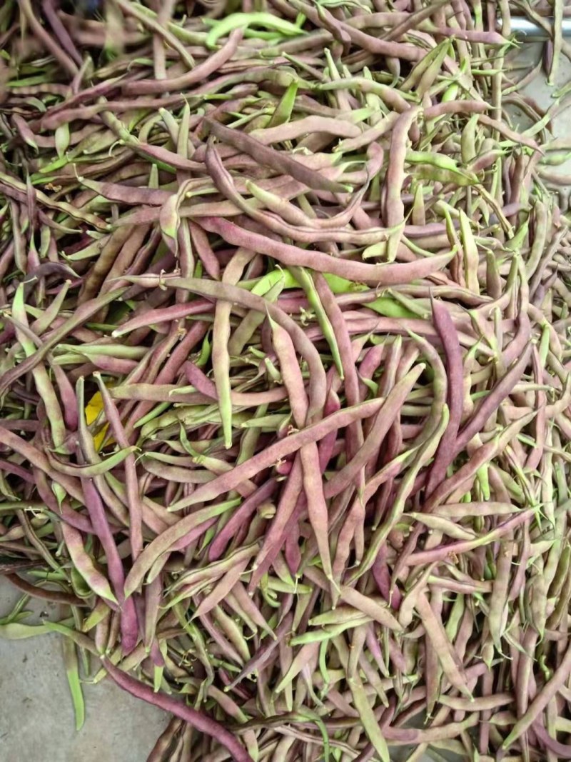 油豆角