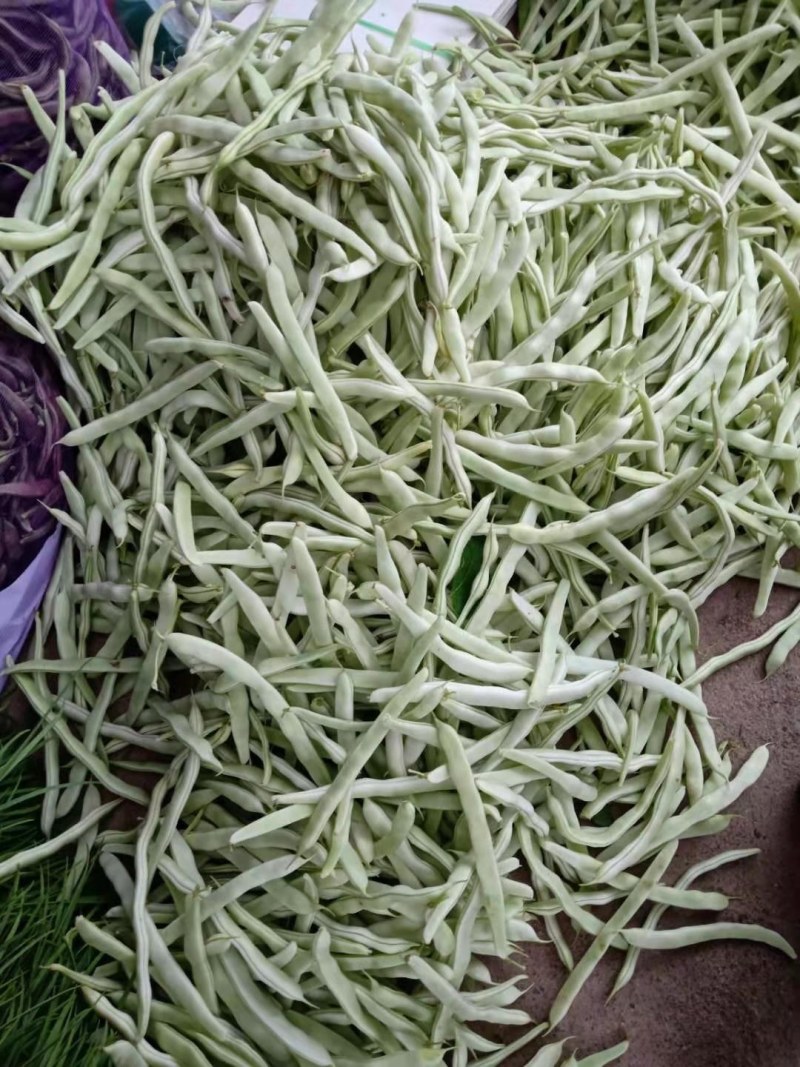 油豆角