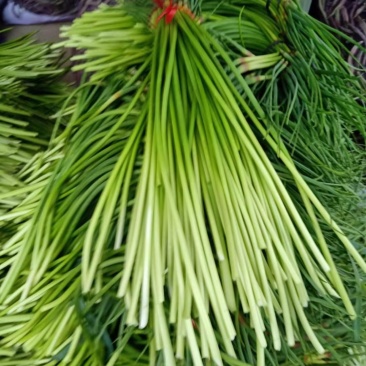 蒜苔