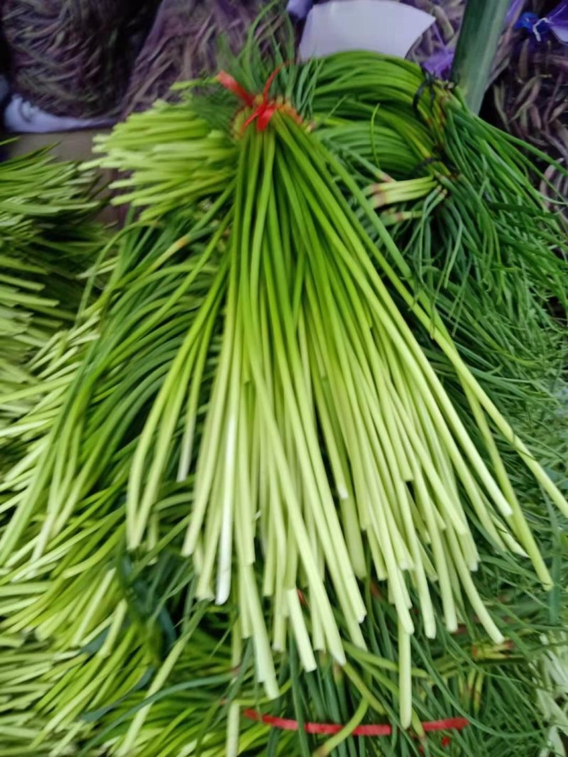 蒜苔
