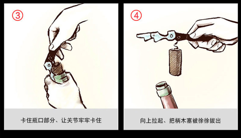 西班牙原瓶原装进口神圣12度半干红女士红葡萄酒厂家直批