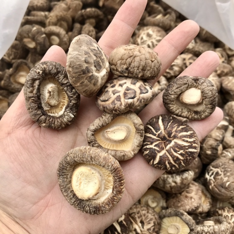 花菇干货新货上市肉厚冬菇短脚产地直营店批发一手货源有货