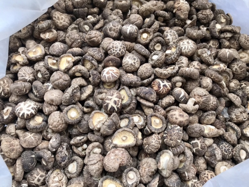 花菇干货新货上市肉厚冬菇短脚产地直营店批发一手货源有货