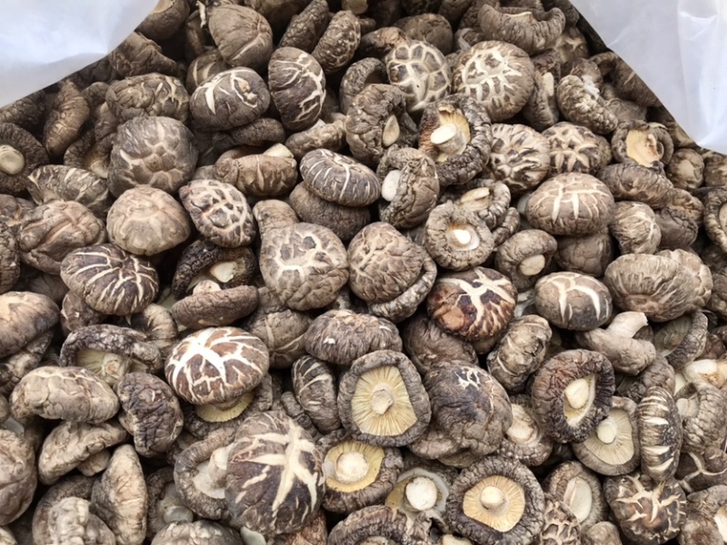 花菇干货新货上市肉厚冬菇短脚产地直营店批发一手货源有货