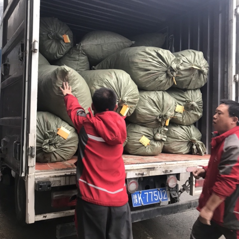 香菇干货香菇大片干香菇薄香菇蘑菇食堂饭店商用500g