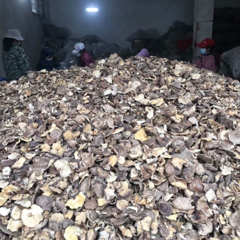 香菇干货香菇大片干香菇薄香菇蘑菇食堂饭店商用500g