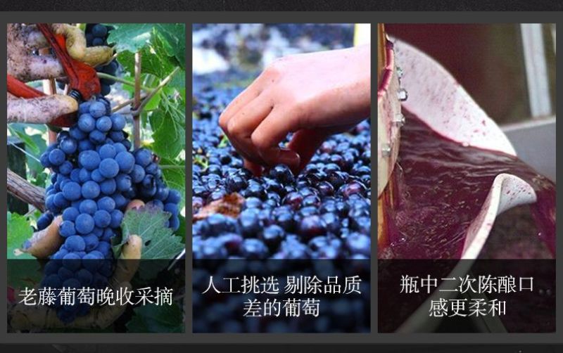 法国皇室典藏威珞特菲进口赤霞珠13度干红厂家一件代发