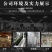 法国皇室典藏威珞特菲进口赤霞珠13度干红厂家一件代发