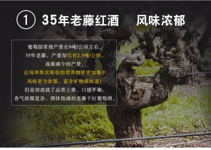 法国皇室典藏威珞特菲进口赤霞珠13度干红厂家一件代发