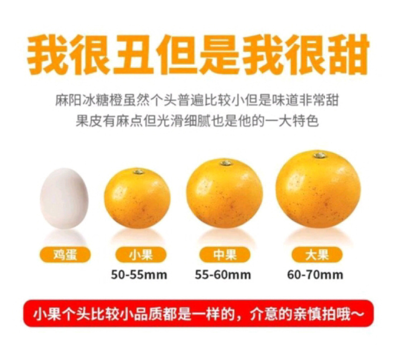 湖南麻阳冰糖橙薄皮橙子纯甜手剥橙农家橙非赣南脐橙一件代发