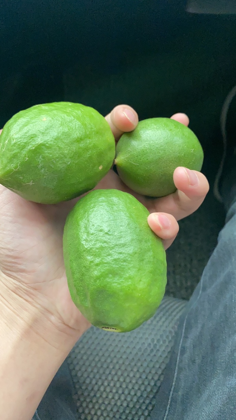 明天有3-400斤有没有老板需要的老树四到五年