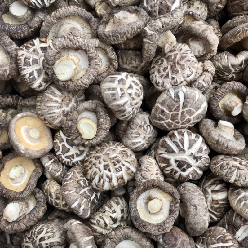 特级天白花菇肉厚冬菇干香菇蘑菇食用菌基地直供店常年批发