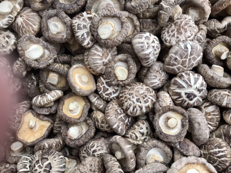 特级天白花菇肉厚冬菇干香菇蘑菇食用菌基地直供店常年批发