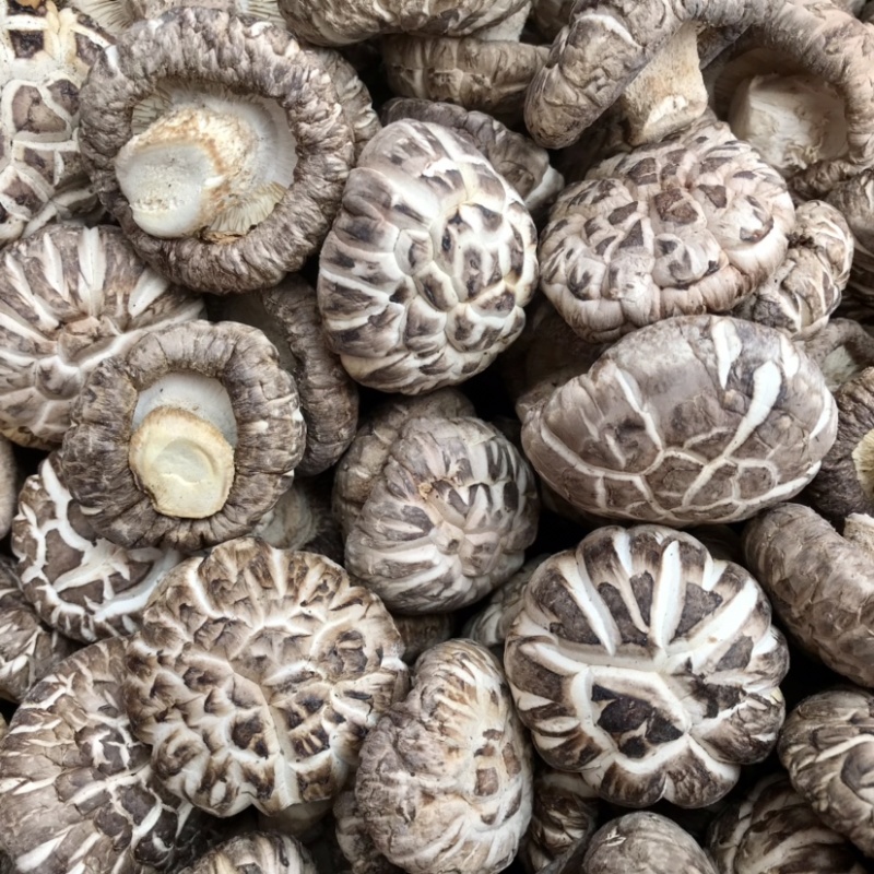 特级天白花菇肉厚冬菇干香菇蘑菇食用菌基地直供店常年批发