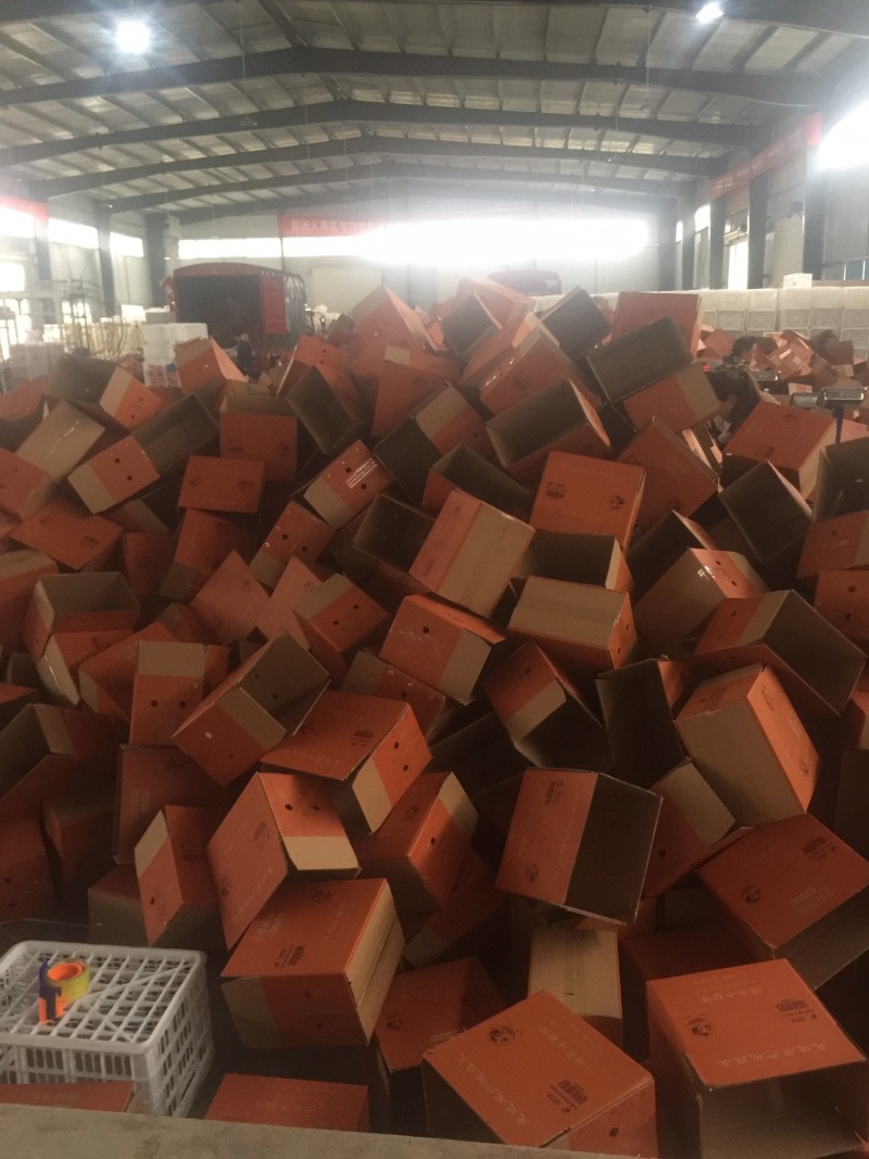 湖南麻阳冰糖橙薄皮橙子纯甜手剥橙农家橙非赣南脐橙一件代发