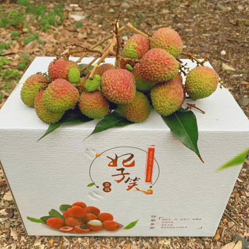 荔枝新鲜现摘现发海南妃子笑（一件代发5月5日首发）