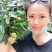 荔枝新鲜现摘现发海南妃子笑（一件代发5月5日首发）