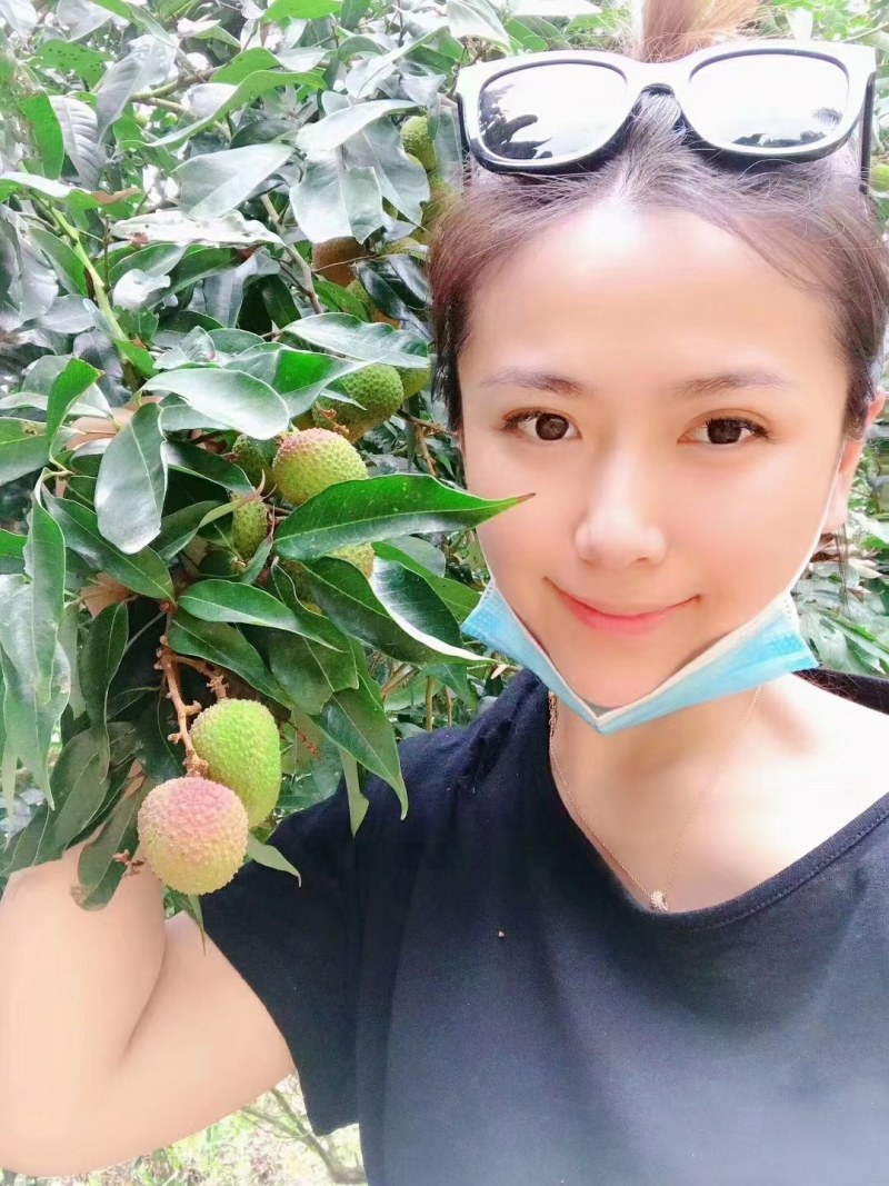 荔枝新鲜现摘现发海南妃子笑（一件代发5月5日首发）