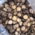 河南大香菇干货新货批发蘑菇食用菌农产品基地批发常年供应