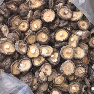 河南大香菇干货新货批发蘑菇食用菌农产品基地批发常年供应