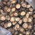 河南大香菇干货新货批发蘑菇食用菌农产品基地批发常年供应
