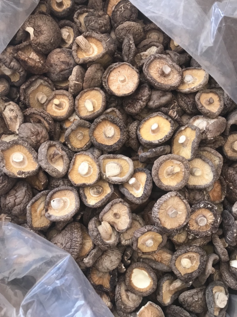 河南大香菇干货新货批发蘑菇食用菌农产品基地批发常年供应