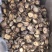 河南大香菇干货新货批发蘑菇食用菌农产品基地批发常年供应