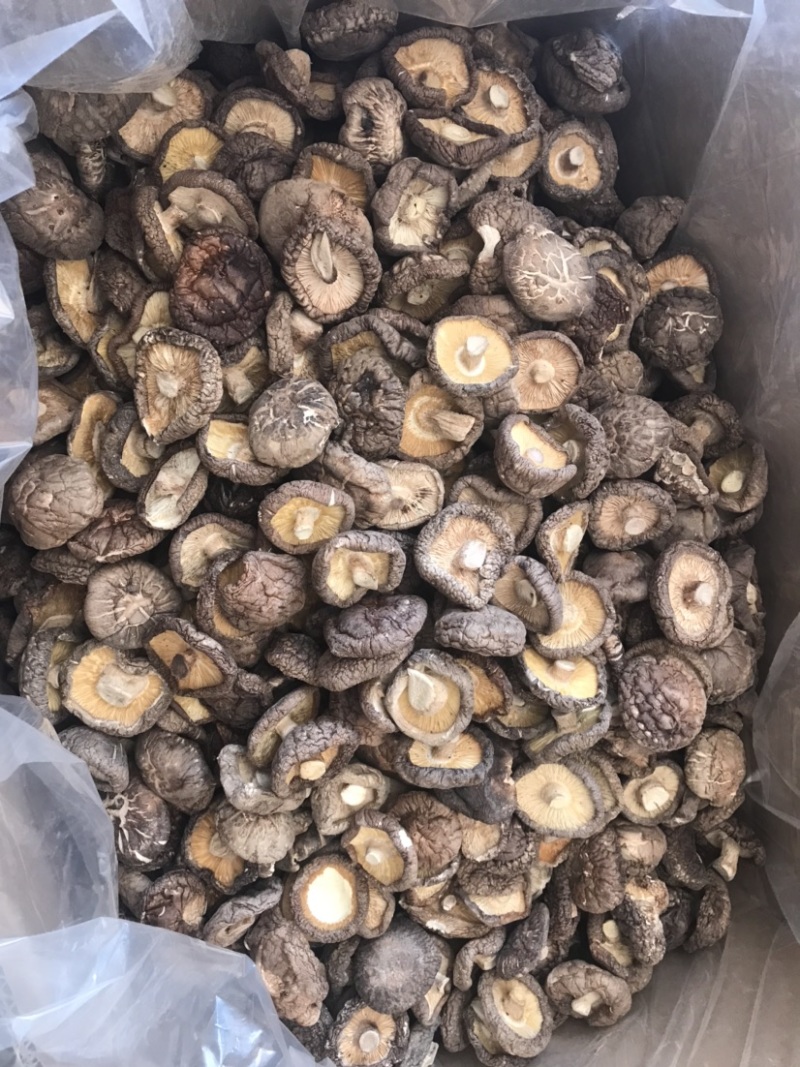 河南大香菇干货新货批发蘑菇食用菌农产品基地批发常年供应