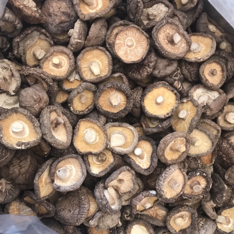 河南大香菇干货新货批发蘑菇食用菌农产品基地批发常年供应