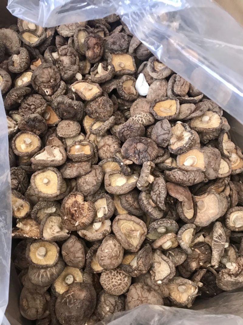 河南大香菇干货新货批发蘑菇食用菌农产品基地批发常年供应