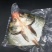 精品真空白鲢头规格齐全品质保证诚信经营