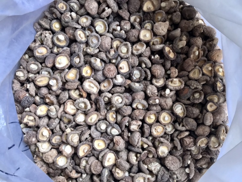 特级香菇干货面菇肉厚冬菇口感肥美现货产地直发