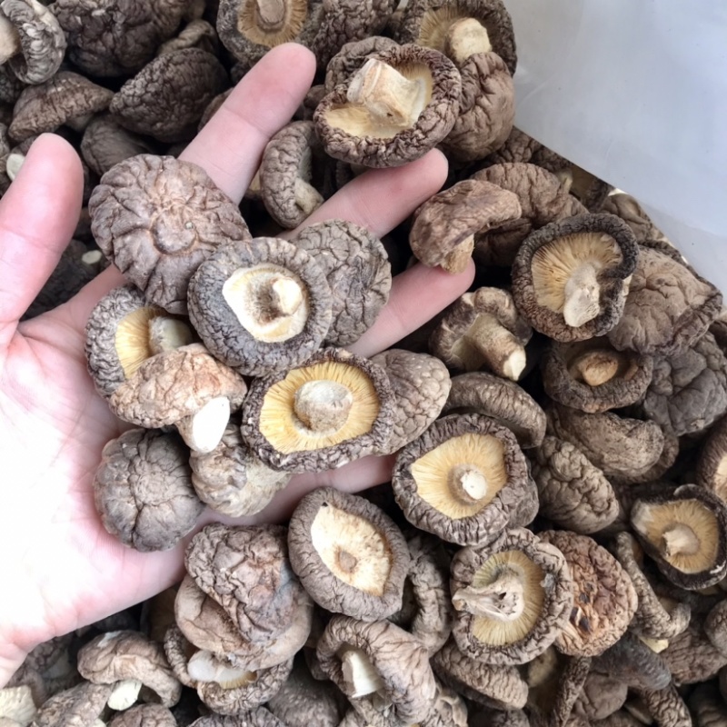 特级香菇干货面菇肉厚冬菇口感肥美现货产地直发