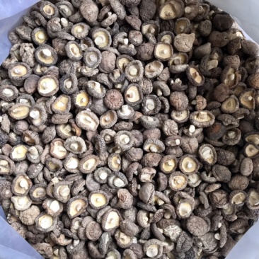 特级香菇干货面菇肉厚冬菇口感肥美现货产地直发