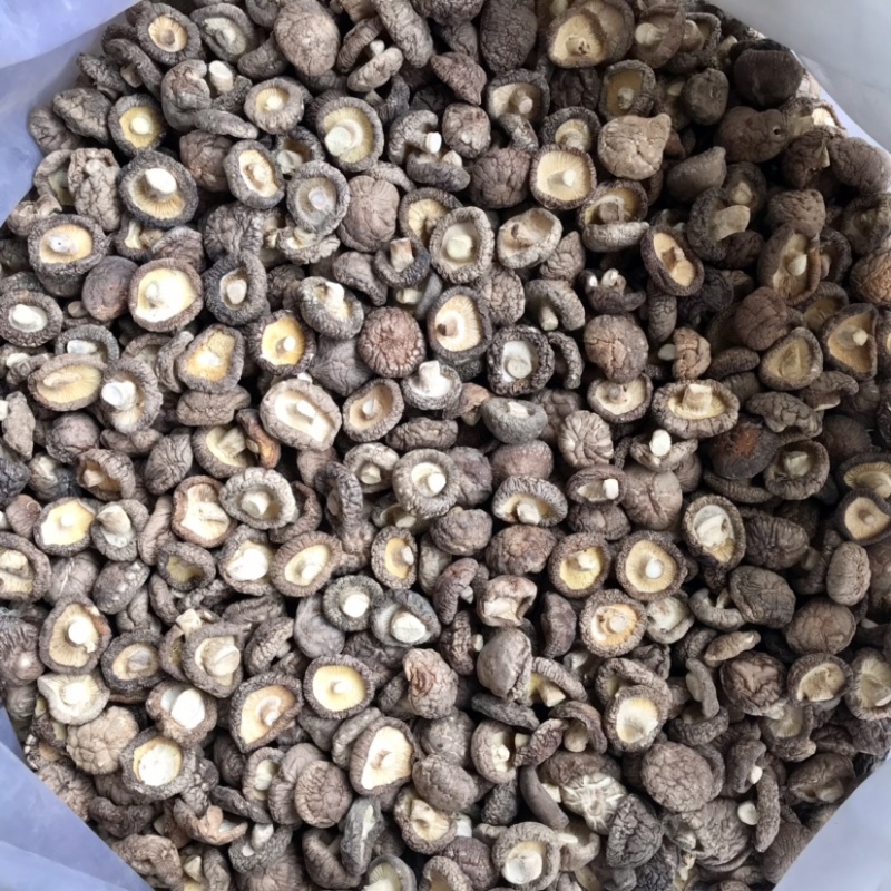 特级香菇干货面菇肉厚冬菇口感肥美现货产地直发