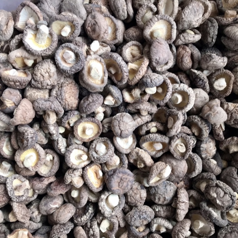 特级香菇干货面菇肉厚冬菇口感肥美现货产地直发