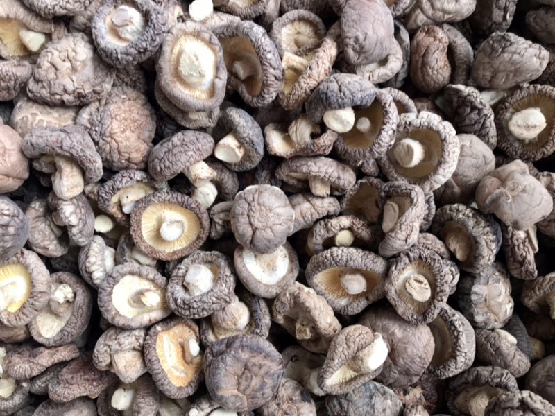 特级香菇干货面菇肉厚冬菇口感肥美现货产地直发