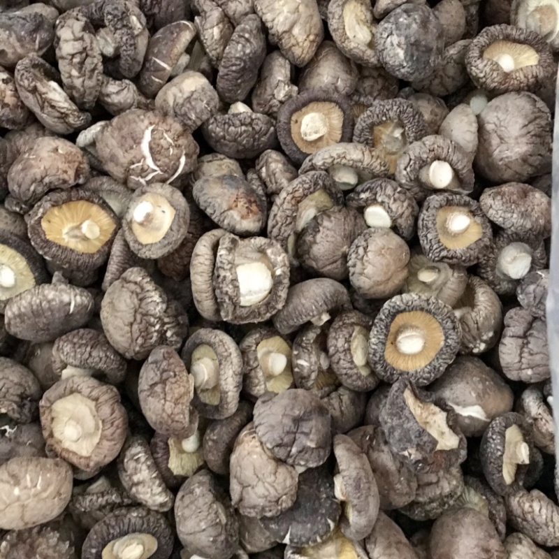 特级香菇干货面菇肉厚冬菇口感肥美现货产地直发