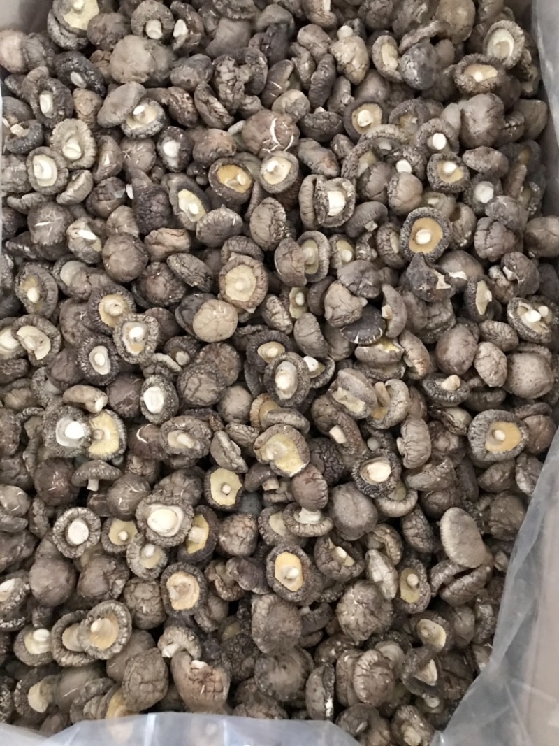 特级香菇干货面菇肉厚冬菇口感肥美现货产地直发