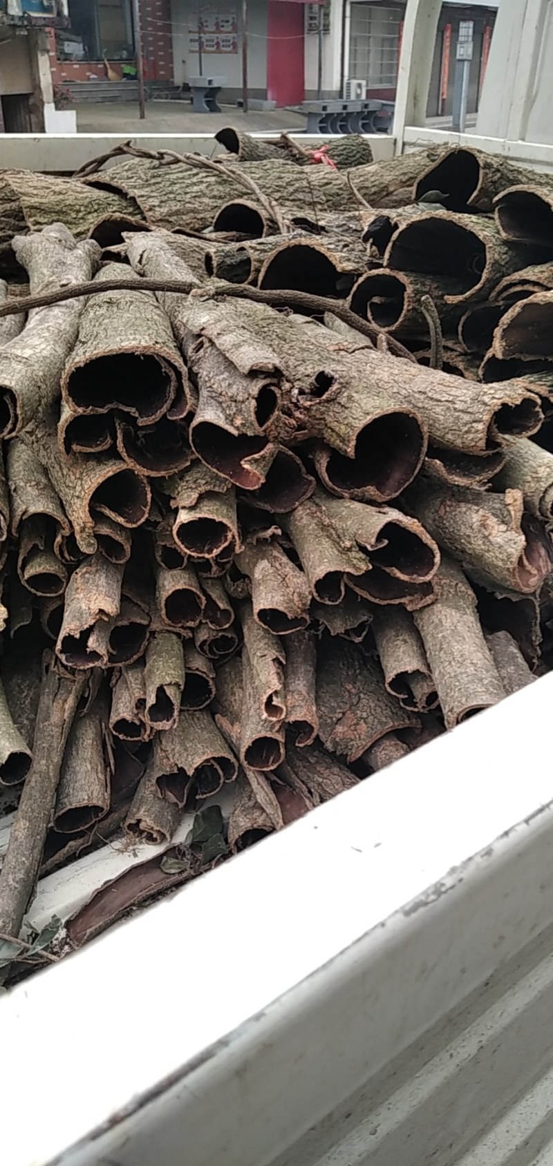 【实力供货】杜仲皮大别山野生中药材批发零售干度好高品质