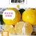 怀化黄金甜贡柚高山橘柚味甜多汁当季新鲜果一件也是批发价
