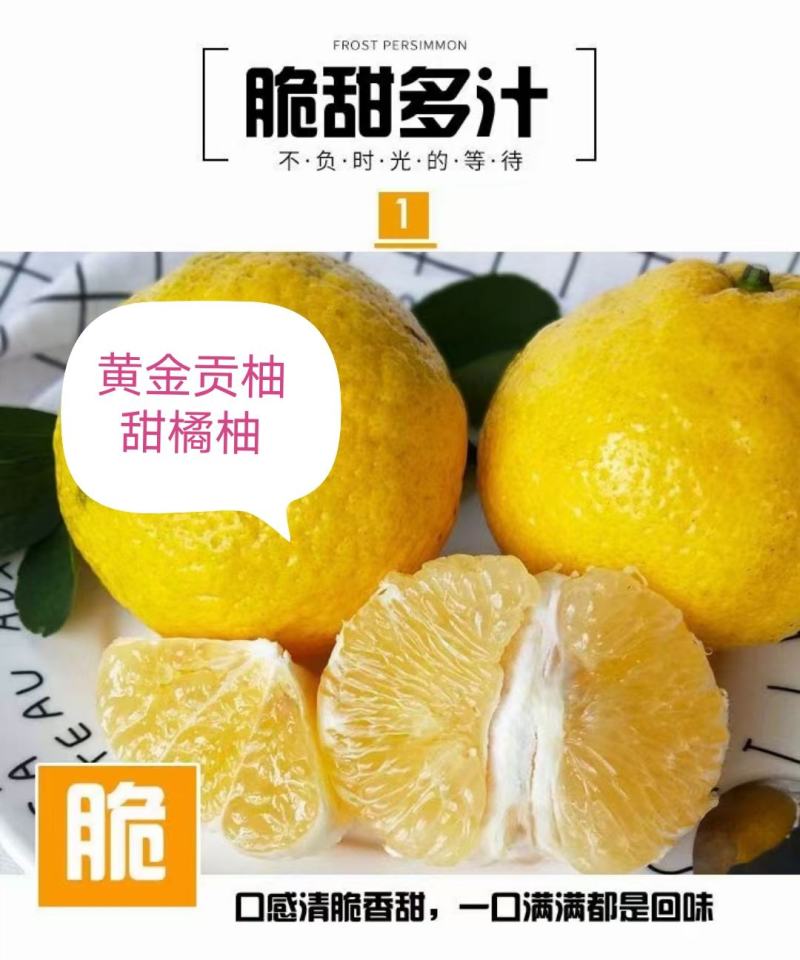 怀化黄金甜贡柚高山橘柚味甜多汁当季新鲜果一件也是批发价