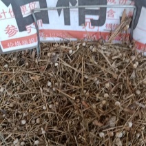 中药材谷精子，有要大货可以找我