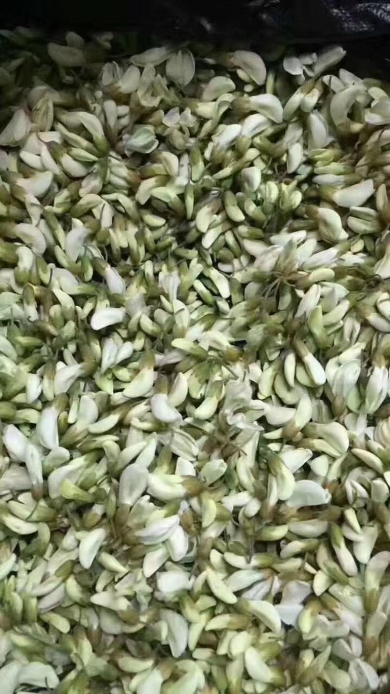 当地鲜槐花大量上市