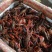 微山湖精品小龙虾壳薄肉厚干净满肉龙虾馆专供