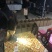 草鱼水花、四大家鱼水花、优质鱼苗、保质保量🔥🔥🔥